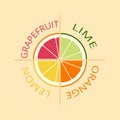 Citrus logo, icon, emblem. Lemon, lime, orange, grapefruit. Juicy set of slices of different fruits. Flat design. Vector