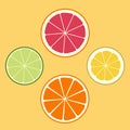 Citrus logo, icon, emblem. Lemon, lime, orange, grapefruit. Juicy set of slices of different fruits. Flat design. Vector