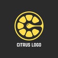 Citrus logo like piece of lemon