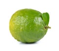 Citrus medica Linn on white background