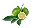 Citrus medica Linn on white background