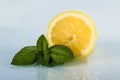 Citrus with mint leaves Royalty Free Stock Photo