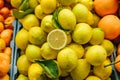 Citrus mix from fresh lemon, tangerine, orange on the farm market. Products rich in vitamins. Royalty Free Stock Photo