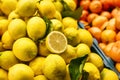 Citrus mix from fresh lemon, tangerine, orange on the farm market. Products rich in vitamins. Royalty Free Stock Photo