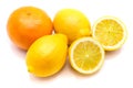 Citrus fruit isolated on white Royalty Free Stock Photo