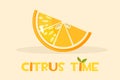 Citrus orange. Hello Summer time, vector illustration