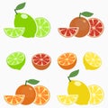 Citrus. Orange, lime, lemon, grapefruit. Set of whole fruit with slice, half and leaf. Vector