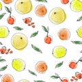 Ink and watercolor sketch citrus fruits pattern on white background. Grapefruits, orange oranges, yellow lemons Royalty Free Stock Photo