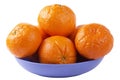 Citrus plate