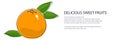 Citrus pomelo banner