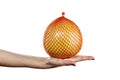 Citrus pomelo in a grid Royalty Free Stock Photo