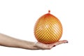 Citrus pomelo in hand Royalty Free Stock Photo
