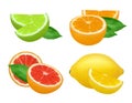 Citrus products. Lime lemon grapefruits and orange natural healthy fruits vector food realistic picture Royalty Free Stock Photo