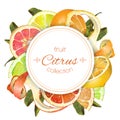 Citrus round banner