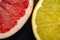 Citrus round slices on black background