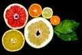 Citrus round slices on black background