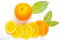 Citrus round slices on a white background