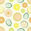 Citrus seamless background. vector