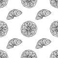 Citrus seamless pattern. Cut off round piece segment of fruit in the skin. Mandarin lemon orange grapefruit lime. Hand