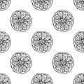 Citrus seamless pattern. Cut off round piece segment of fruit in the skin. Mandarin lemon orange grapefruit lime. Hand drawn