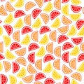 Citrus seamless pattern. Slices of tropical fruits