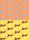 Citrus seamless patterns Royalty Free Stock Photo