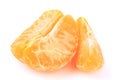 Citrus segments. Collection of tangerine, orange and other citrus fruits peeled segments