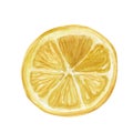 Citrus slice fruits watercolor hand drawn illustration. Orange, lemon, lime isolated on white background Royalty Free Stock Photo