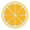 Citrus slice icon isometric vector. Bright yellow fresh lemon or pomelo in cut Royalty Free Stock Photo