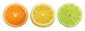 Citrus slice, orange, lemon, lime, isolated on white background Royalty Free Stock Photo