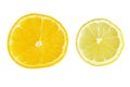 Citrus slice, orange and lemons isolated on white background, clipping path Royalty Free Stock Photo