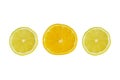 Citrus slice, orange and lemons isolated on white background, clipping path Royalty Free Stock Photo