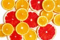 Citrus slice, oranges and grapefruits on white background. Fruits backdrop