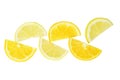 Citrus slice, oranges and lemons halves isolated on white background, clipping path Royalty Free Stock Photo