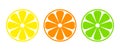 Citrus slice set. Lemon slice, orange slice, lime slice. Vector illustration isolated on white background. Royalty Free Stock Photo