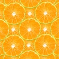 Citrus slices Royalty Free Stock Photo