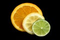 Citrus Slices Royalty Free Stock Photo