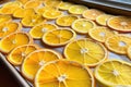 citrus slices for drying and stringing up