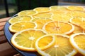 citrus slices for drying and stringing up