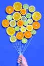 Citrus slices fruits concept Royalty Free Stock Photo