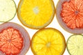 Citrus slices. Citrus fruits oranges lemons food background portrait format collection collage set fruit backgrounds Royalty Free Stock Photo