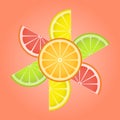 Citrus slices of lemon, kiwi, orange, grapefruit in the form of a flower