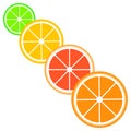 Citrus slices of lemon, orange, lime and grapefruit. Vector illustration Royalty Free Stock Photo