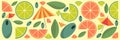 Citrus slices of lemon, orange, lime and grapefruit. Mint leaf, olives and Cocktail umbrella. Vector illustration banner or Royalty Free Stock Photo