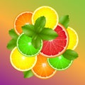 Citrus slices of lemon  orange  lime  grapefruit and mint leaves on colorful background. Vector illustration Royalty Free Stock Photo