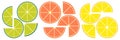 Citrus slices of lemon, orange, lime and grapefruit. Summer vector illustration set Royalty Free Stock Photo