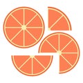 Citrus slices of lemon, orange, lime and grapefruit. Vector illustration Royalty Free Stock Photo