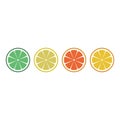 Citrus slices of lemon, orange, lime and grapefruit. Vector illustration. citrus icons in line Royalty Free Stock Photo