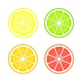 Citrus slices of lemon, orange, lime and grapefruit. Vector isolated illustration Royalty Free Stock Photo