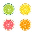 Citrus slices of orange, grapefruit, lime and lemon isolated on flat white background Royalty Free Stock Photo